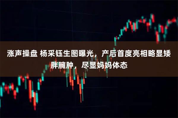 涨声操盘 杨采钰生图曝光，产后首度亮相略显矮胖臃肿，尽显妈妈体态