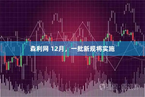 森利网 12月，一批新规将实施
