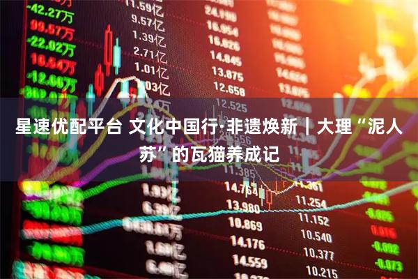 星速优配平台 文化中国行·非遗焕新｜大理“泥人苏”的瓦猫养成记